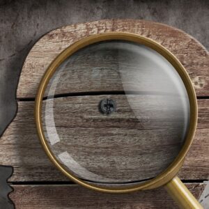 Técnica DISU - 60 minutos